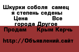 Шкурки соболя (самец) 1-я степень седены › Цена ­ 12 000 - Все города Другое » Продам   . Крым,Керчь